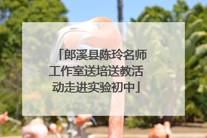 郎溪县陈玲名师工作室送培送教活动走进实验初中