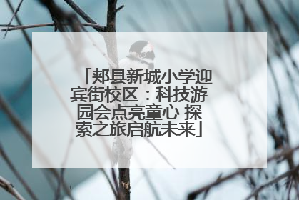 郏县新城小学迎宾街校区：科技游园会点亮童心 探索之旅启航未来