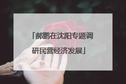 郝鹏在沈阳专题调研民营经济发展