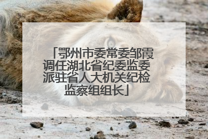 鄂州市委常委邹霞调任湖北省纪委监委派驻省人大机关纪检监察组组长