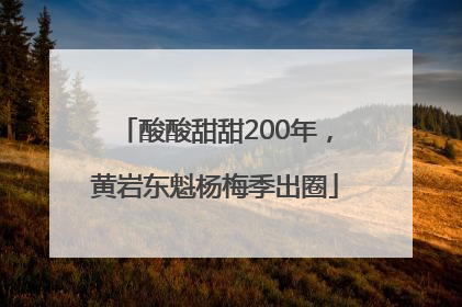 酸酸甜甜200年，黄岩东魁杨梅季出圈
