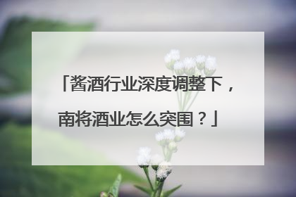 酱酒行业深度调整下，南将酒业怎么突围？