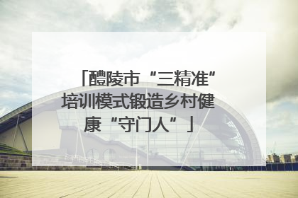 醴陵市“三精准”培训模式锻造乡村健康“守门人”