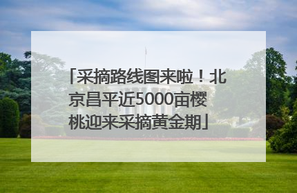 采摘路线图来啦！北京昌平近5000亩樱桃迎来采摘黄金期