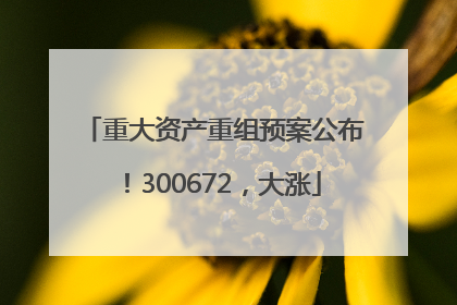 重大资产重组预案公布！300672，大涨