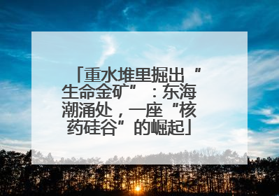 重水堆里掘出“生命金矿”：东海潮涌处，一座“核药硅谷”的崛起