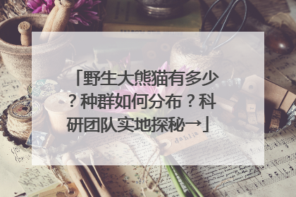 野生大熊猫有多少？种群如何分布？科研团队实地探秘→