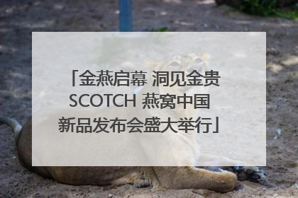 金燕启幕 洞见金贵 SCOTCH 燕窝中国新品发布会盛大举行