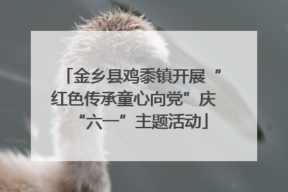 金乡县鸡黍镇开展“红色传承童心向党”庆“六一”主题活动