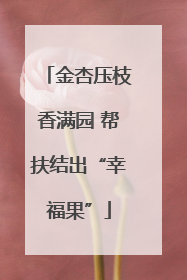 金杏压枝香满园 帮扶结出“幸福果”