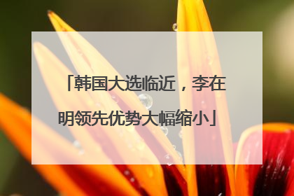 韩国大选临近，李在明领先优势大幅缩小