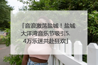音浪激荡盐城！盐城大洋湾音乐节吸引5.4万乐迷共赴狂欢