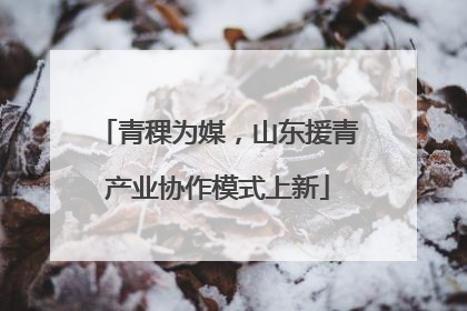 青稞为媒，山东援青产业协作模式上新