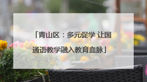 青山区：多元促学 让国通语教学融入教育血脉