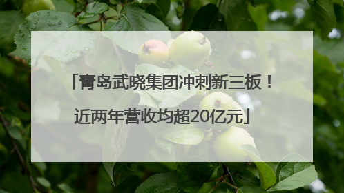 青岛武晓集团冲刺新三板！近两年营收均超20亿元