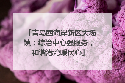 青岛西海岸新区大场镇：综治中心强服务，和谐港湾暖民心
