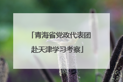 青海省党政代表团赴天津学习考察