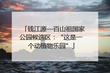 钱江源—百山祖国家公园候选区：“这是一个动植物乐园”