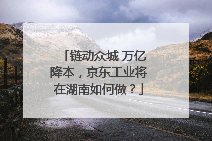 链动众城 万亿降本，京东工业将在湖南如何做？