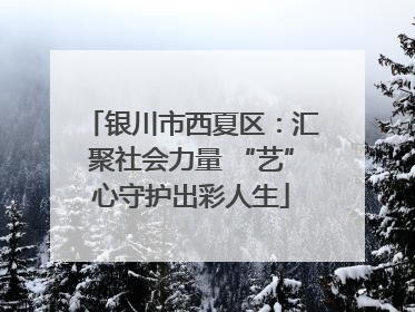 银川市西夏区：汇聚社会力量 “艺”心守护出彩人生