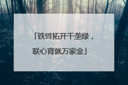 铁臂拓开千垄绿，联心育就万家金