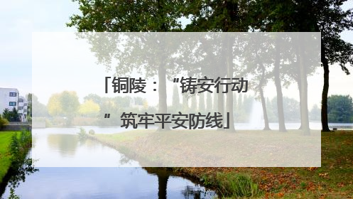 铜陵：“铸安行动”筑牢平安防线