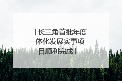 长三角首批年度一体化发展实事项目顺利完成