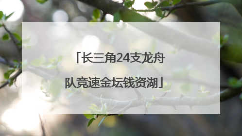 长三角24支龙舟队竞速金坛钱资湖