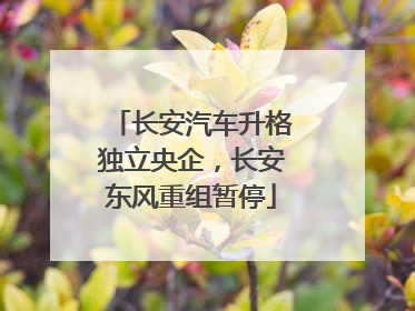 长安汽车升格独立央企，长安东风重组暂停