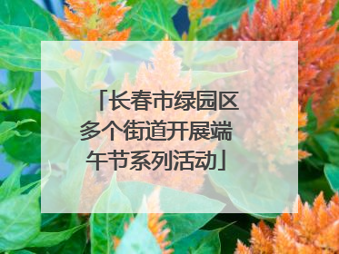长春市绿园区多个街道开展端午节系列活动