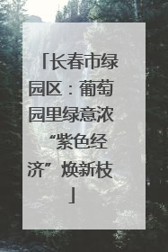 长春市绿园区：葡萄园里绿意浓 “紫色经济”焕新枝