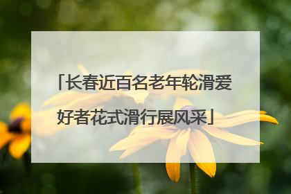长春近百名老年轮滑爱好者花式滑行展风采