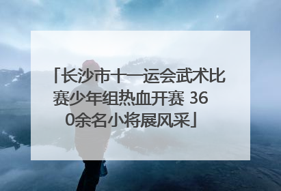 长沙市十一运会武术比赛少年组热血开赛 360余名小将展风采
