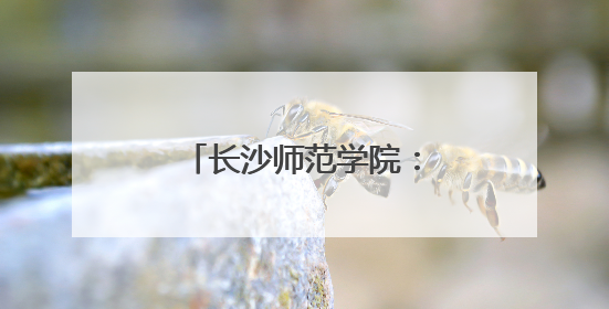 长沙师范学院：非遗扎染润童心