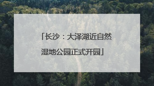 长沙：大泽湖近自然湿地公园正式开园