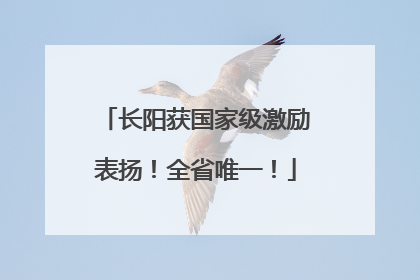 长阳获国家级激励表扬！全省唯一！