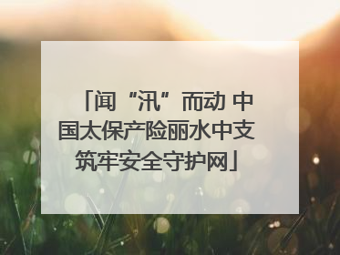 闻“汛”而动 中国太保产险丽水中支筑牢安全守护网