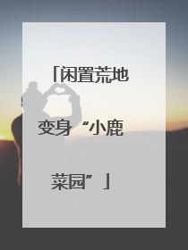 闲置荒地变身“小鹿菜园”