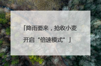 降雨要来，抢收小麦开启“倍速模式”