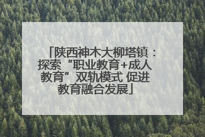 陕西神木大柳塔镇：探索“职业教育+成人教育”双轨模式 促进教育融合发展