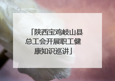 陕西宝鸡岐山县总工会开展职工健康知识巡讲
