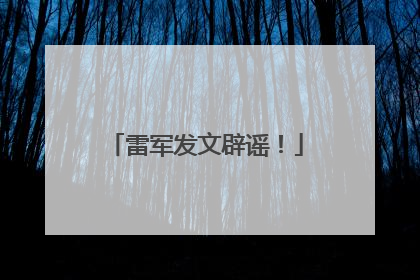 雷军发文辟谣！