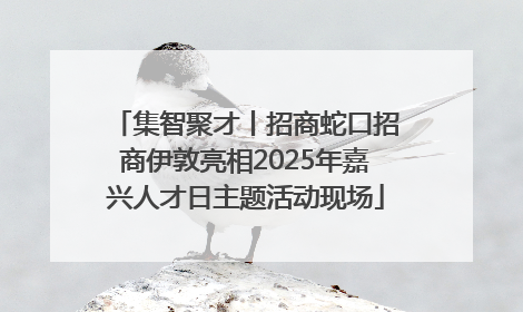集智聚才丨招商蛇口招商伊敦亮相2025年嘉兴人才日主题活动现场