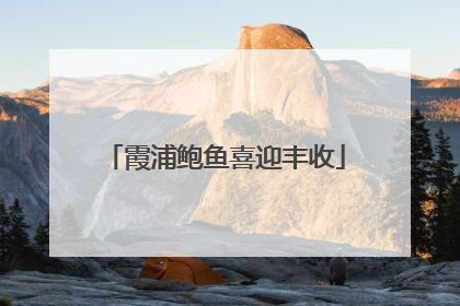 霞浦鲍鱼喜迎丰收