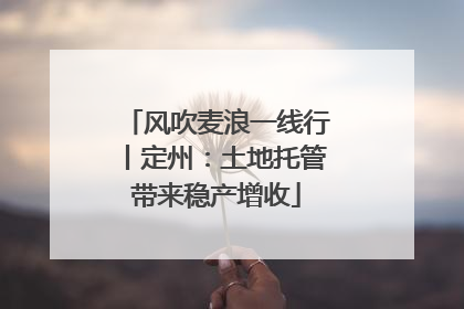 风吹麦浪一线行丨定州：土地托管带来稳产增收