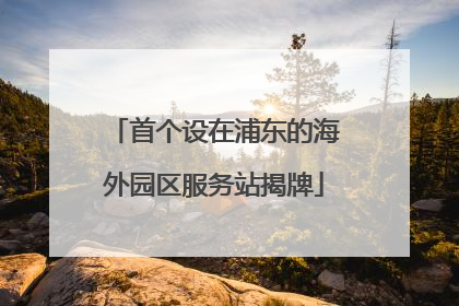 首个设在浦东的海外园区服务站揭牌