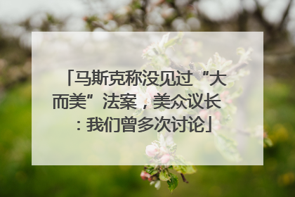 马斯克称没见过“大而美”法案，美众议长：我们曾多次讨论