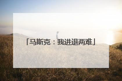 马斯克：我进退两难