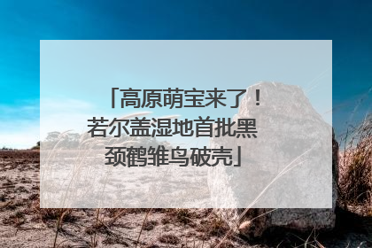 高原萌宝来了！若尔盖湿地首批黑颈鹤雏鸟破壳
