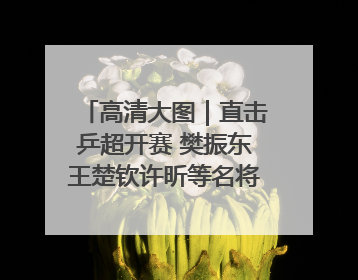 高清大图｜直击乒超开赛 樊振东王楚钦许昕等名将悉数亮相